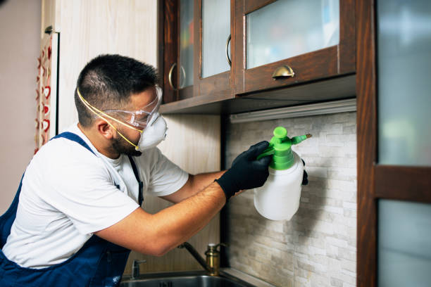 Best Commercial Pest Control Services  in Dorothy, NJ