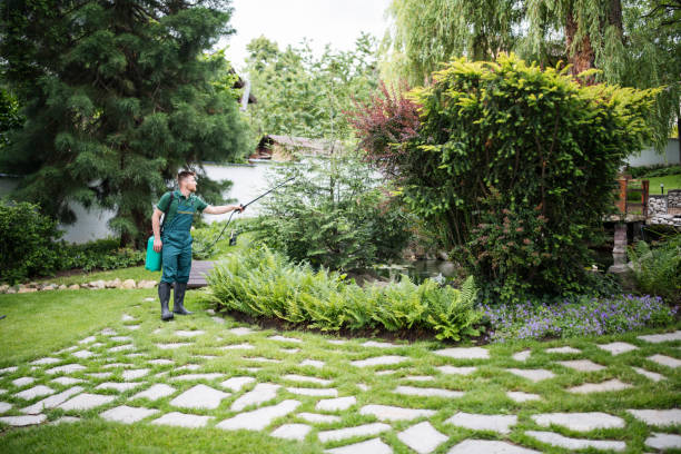 Best Pest Control Near Me  in Dorothy, NJ