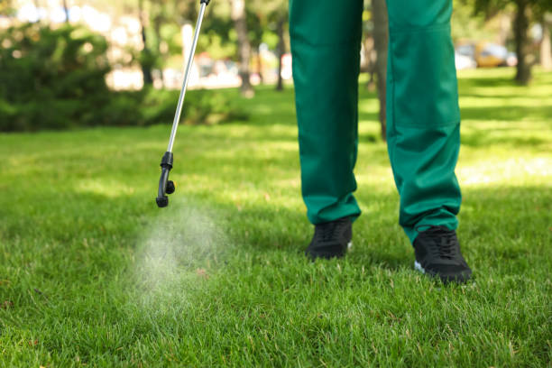 Best Pest Control for Restaurants  in Dorothy, NJ