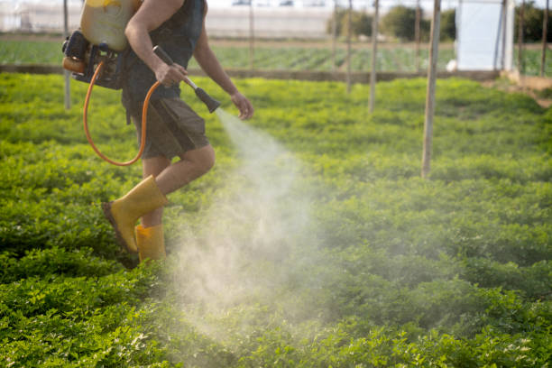Best Best Pest Control Companies  in Dorothy, NJ