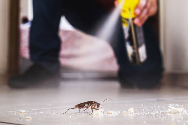 Insect Control in Dorothy, NJ