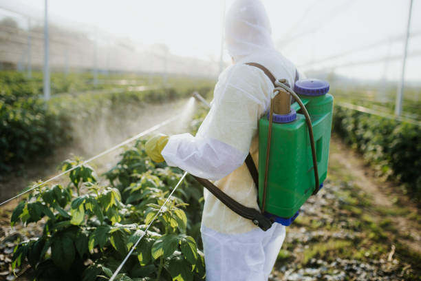 Best Pest Removal Services  in Dorothy, NJ